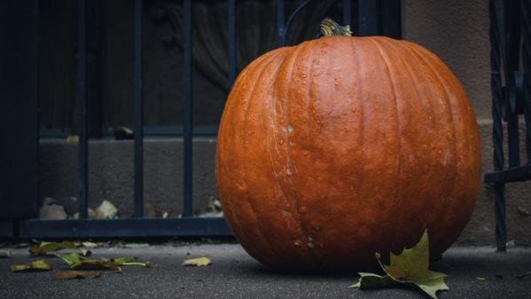 Dealing with Depression and Anxiety is Hard; You Are Not Alone