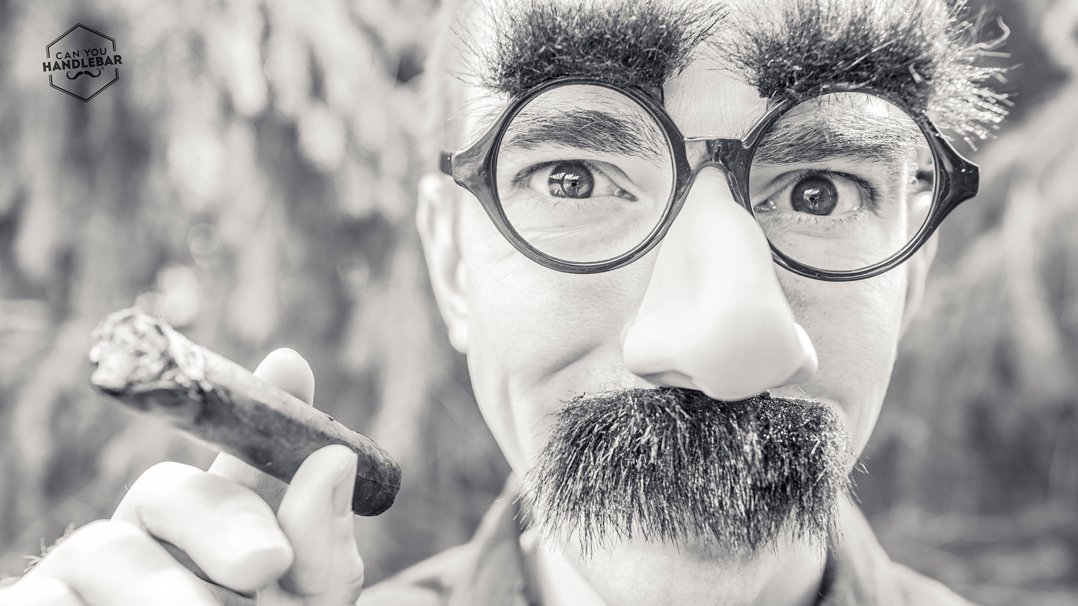 grow a real handlebar moustache, not a fake one